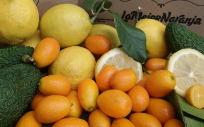 La Familia Serra, los precursores del street marketing